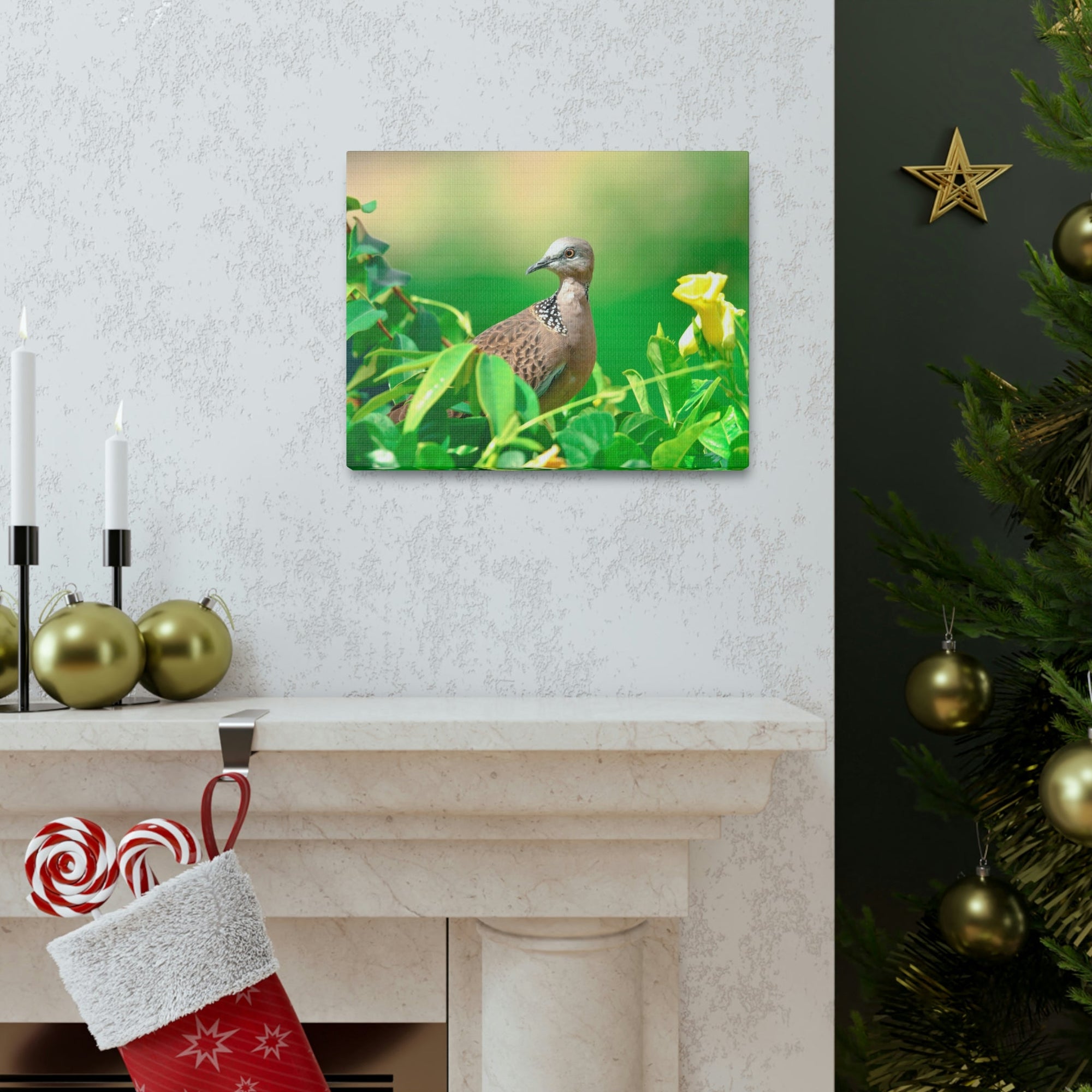 Scripture Walls Zebra Dove on a Plant With a Flower Print Animal Wall Art Wildlife Canvas Prints Wall Art Ready to Hang Unframed-Express Your Love Gifts