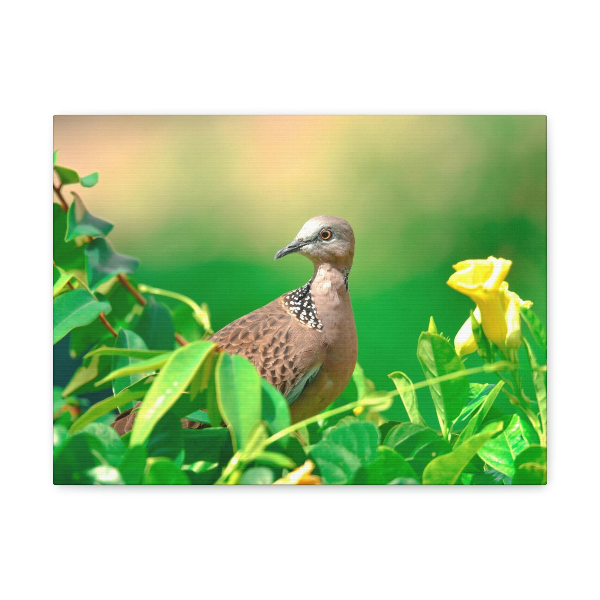 Scripture Walls Zebra Dove on a Plant With a Flower Print Animal Wall Art Wildlife Canvas Prints Wall Art Ready to Hang Unframed-Express Your Love Gifts