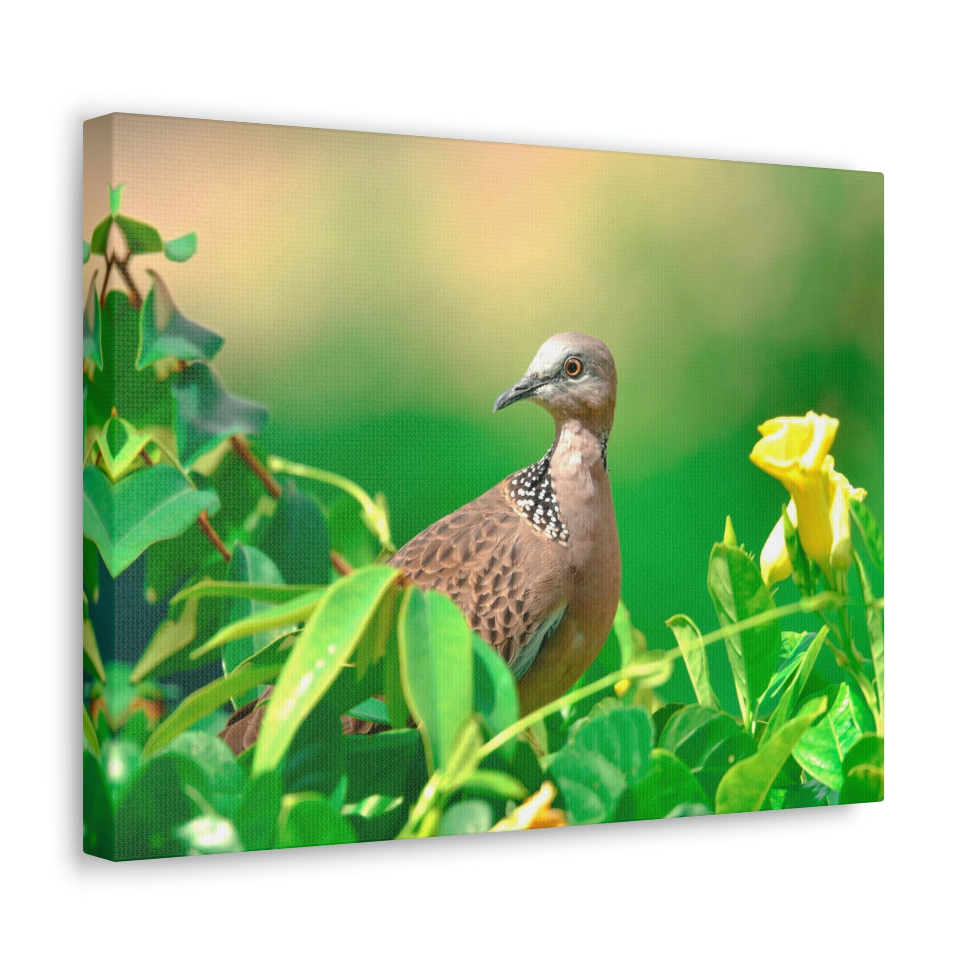 Scripture Walls Zebra Dove on a Plant With a Flower Print Animal Wall Art Wildlife Canvas Prints Wall Art Ready to Hang Unframed-Express Your Love Gifts