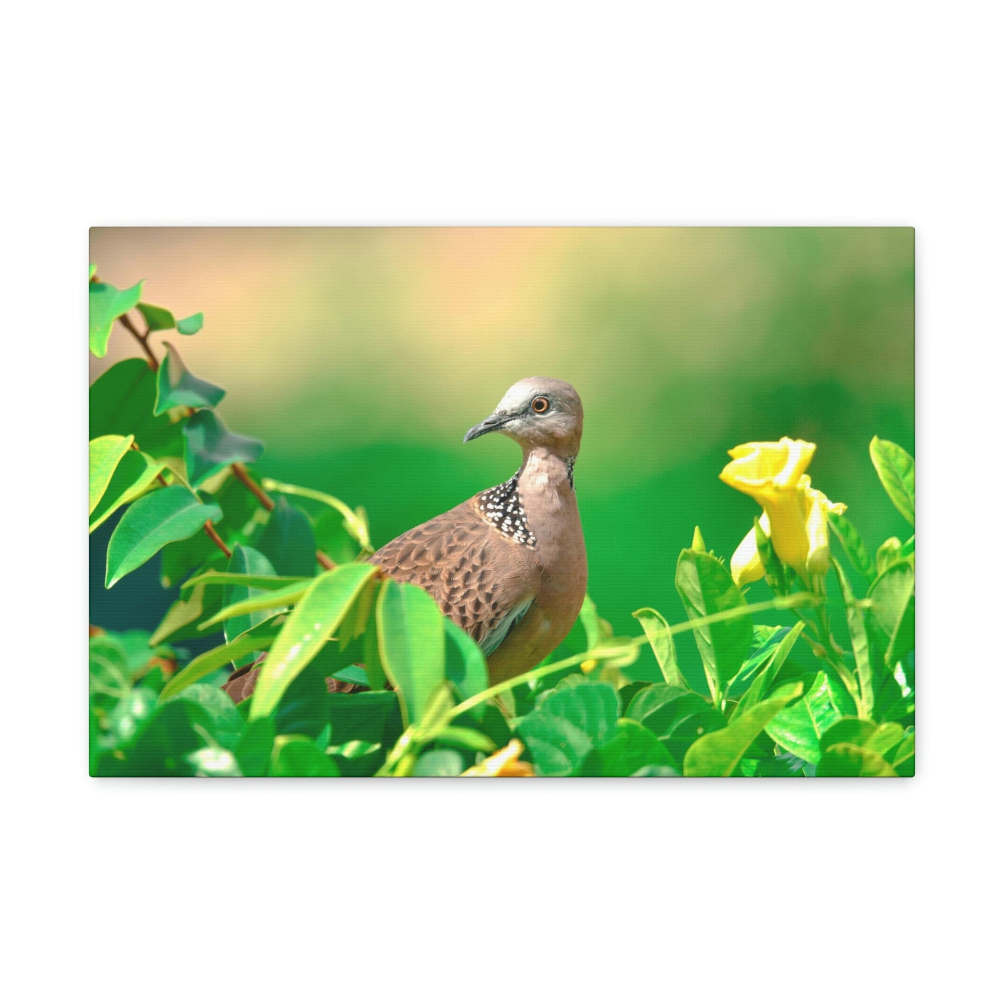 Scripture Walls Zebra Dove on a Plant With a Flower Print Animal Wall Art Wildlife Canvas Prints Wall Art Ready to Hang Unframed-Express Your Love Gifts