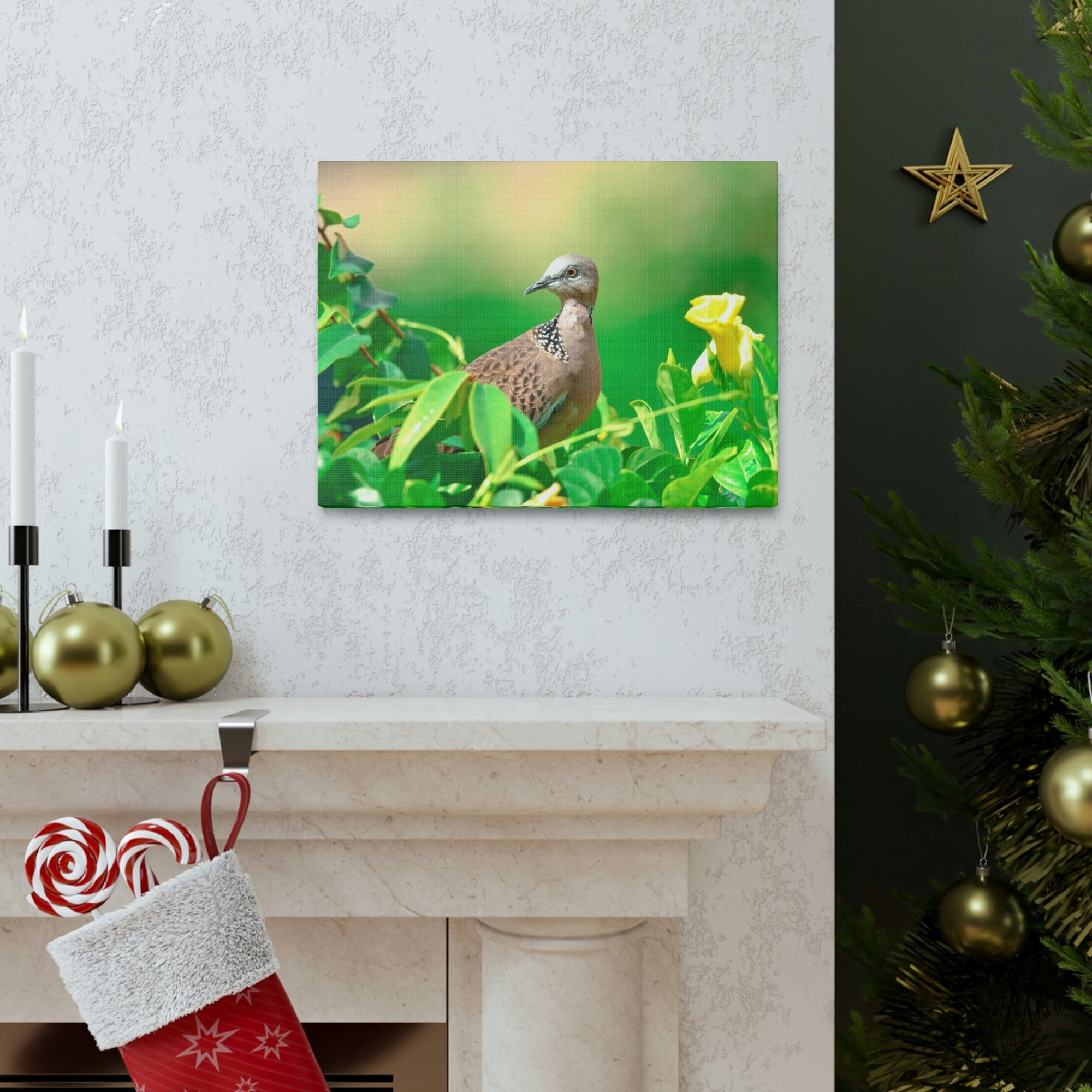 Scripture Walls Zebra Dove on a Plant With a Flower Print Animal Wall Art Wildlife Canvas Prints Wall Art Ready to Hang Unframed-Express Your Love Gifts