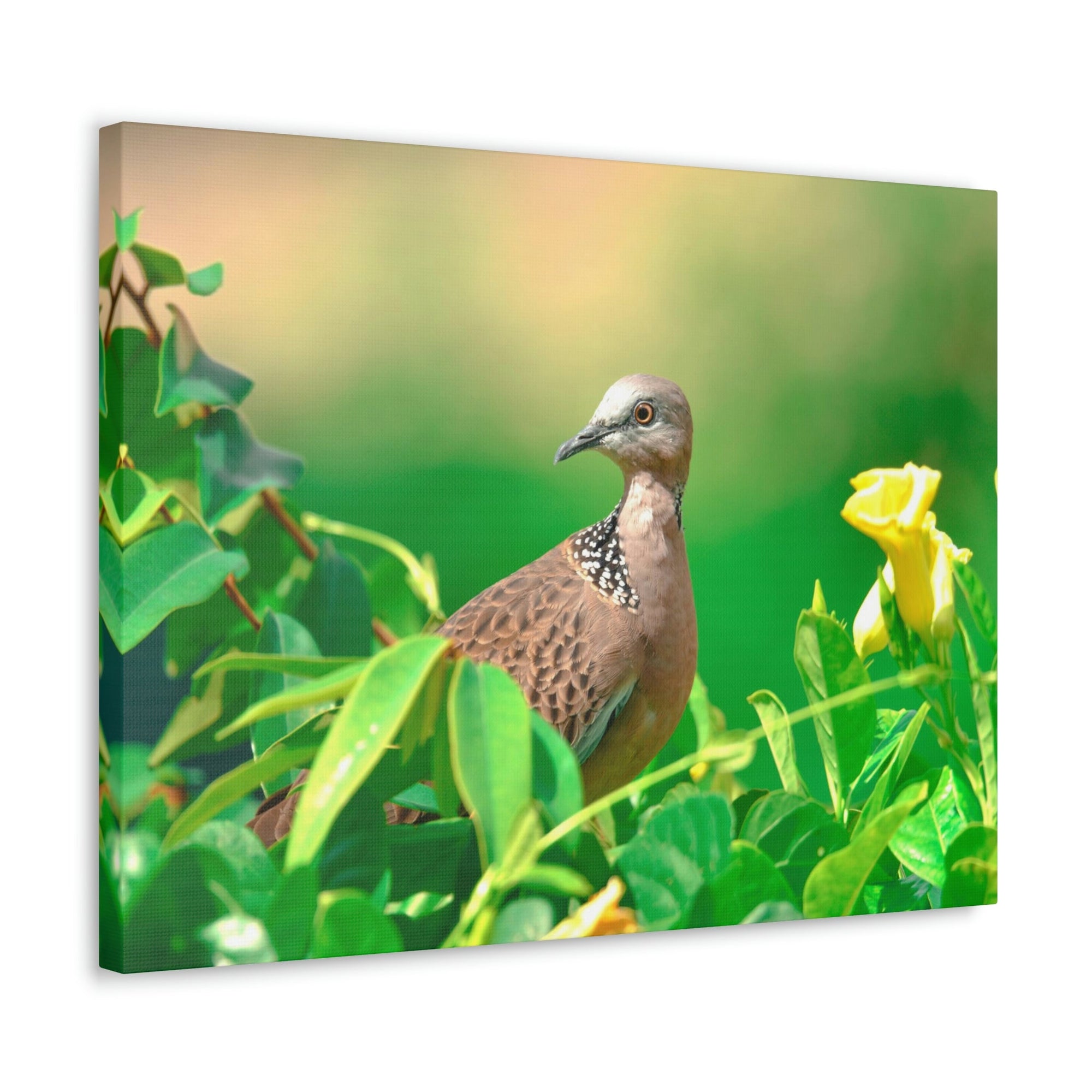 Scripture Walls Zebra Dove on a Plant With a Flower Print Animal Wall Art Wildlife Canvas Prints Wall Art Ready to Hang Unframed-Express Your Love Gifts