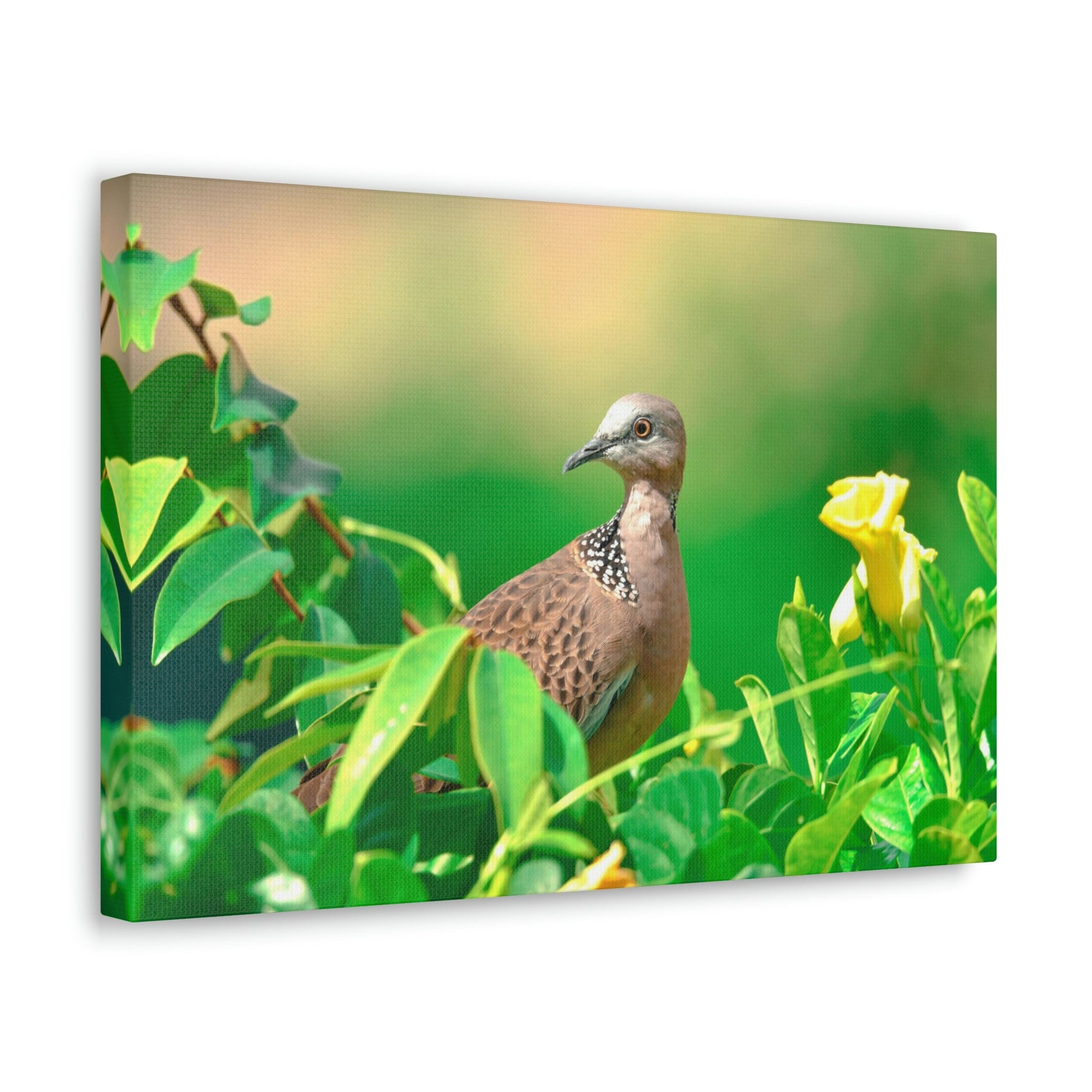 Scripture Walls Zebra Dove on a Plant With a Flower Print Animal Wall Art Wildlife Canvas Prints Wall Art Ready to Hang Unframed-Express Your Love Gifts