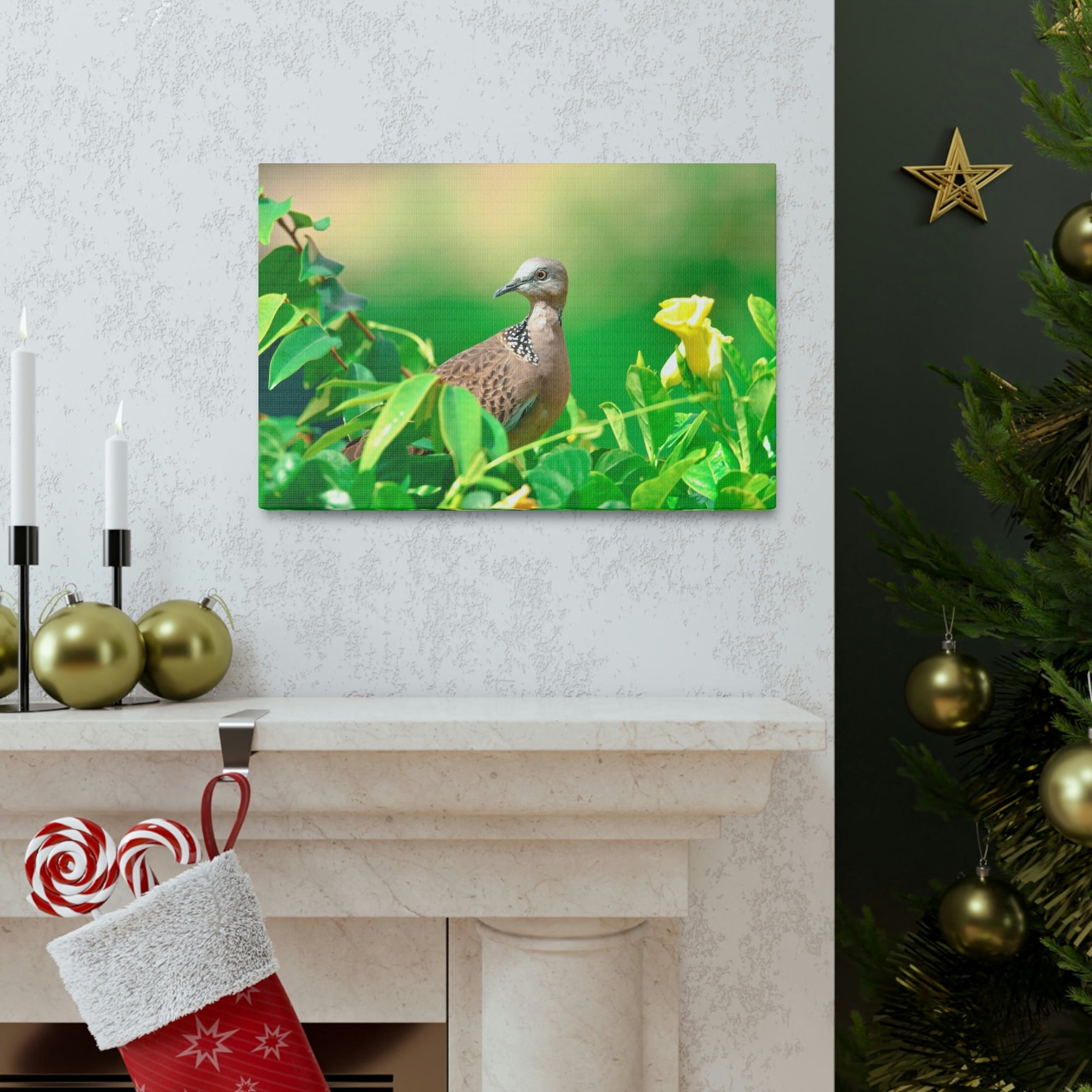 Scripture Walls Zebra Dove on a Plant With a Flower Print Animal Wall Art Wildlife Canvas Prints Wall Art Ready to Hang Unframed-Express Your Love Gifts