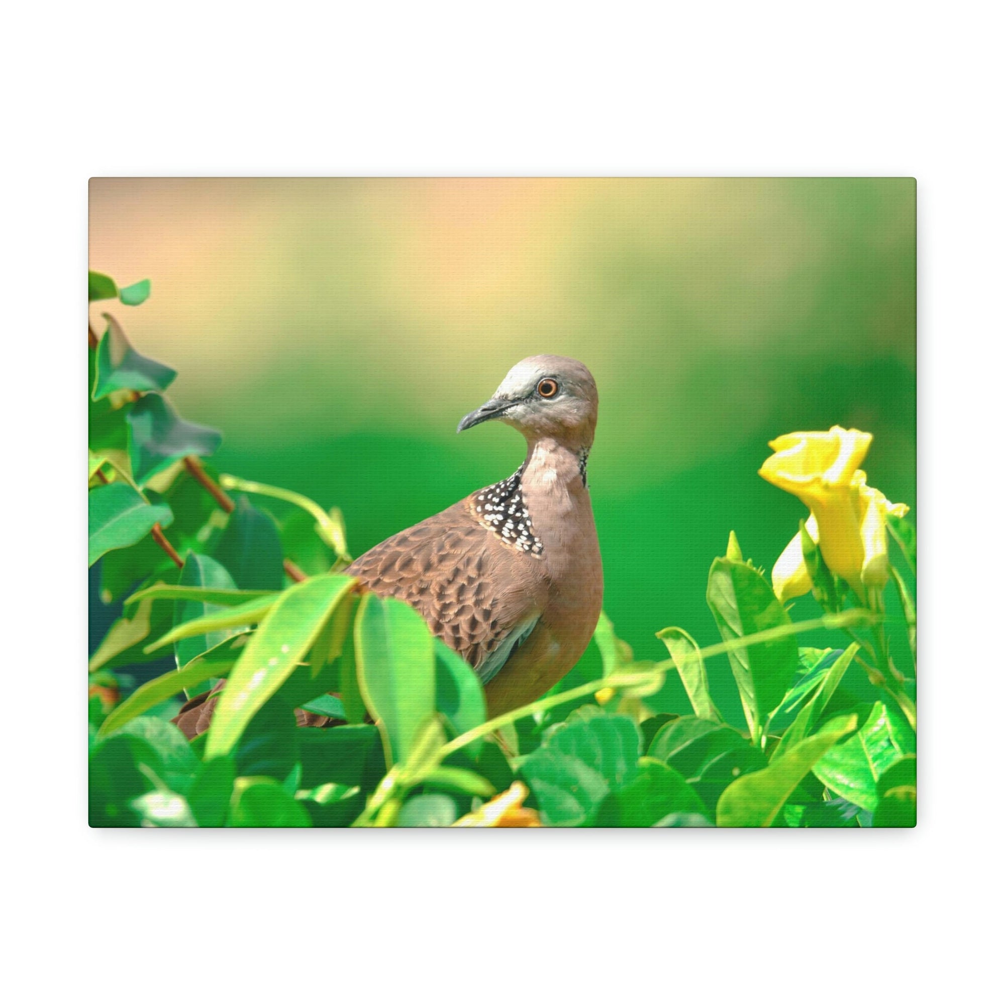 Scripture Walls Zebra Dove on a Plant With a Flower Print Animal Wall Art Wildlife Canvas Prints Wall Art Ready to Hang Unframed-Express Your Love Gifts