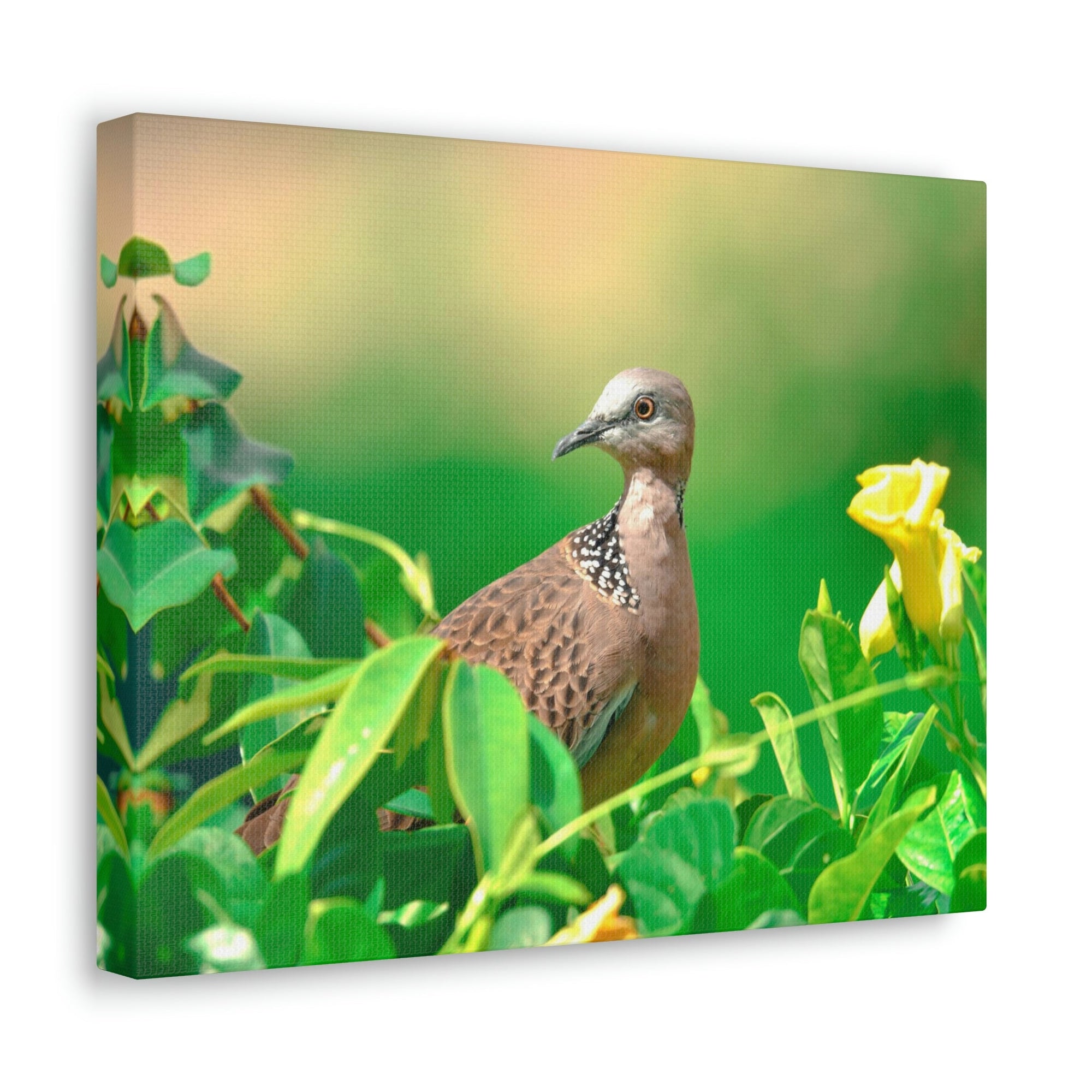 Scripture Walls Zebra Dove on a Plant With a Flower Print Animal Wall Art Wildlife Canvas Prints Wall Art Ready to Hang Unframed-Express Your Love Gifts