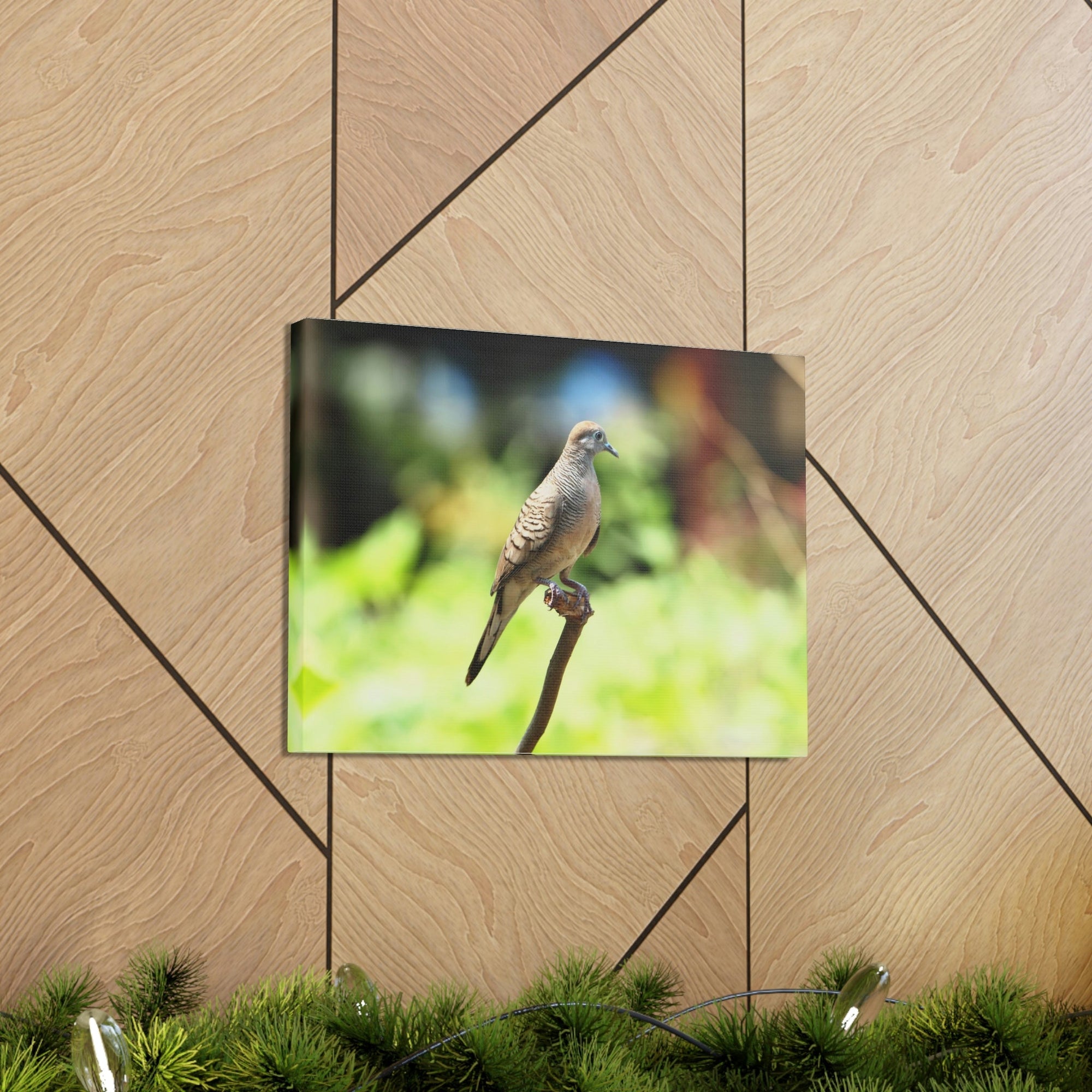 Scripture Walls Zebra Dove Perching on a Wood Print Animal Wall Art Wildlife Canvas Prints Wall Art Ready to Hang Unframed-Express Your Love Gifts