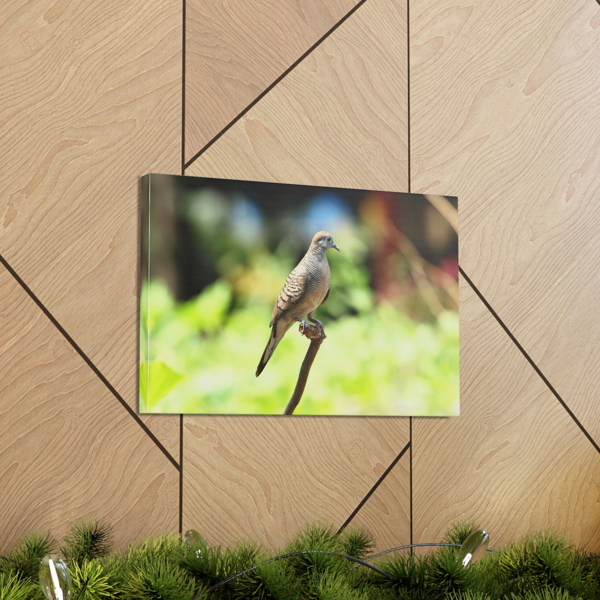 Scripture Walls Zebra Dove Perching on a Wood Print Animal Wall Art Wildlife Canvas Prints Wall Art Ready to Hang Unframed-Express Your Love Gifts