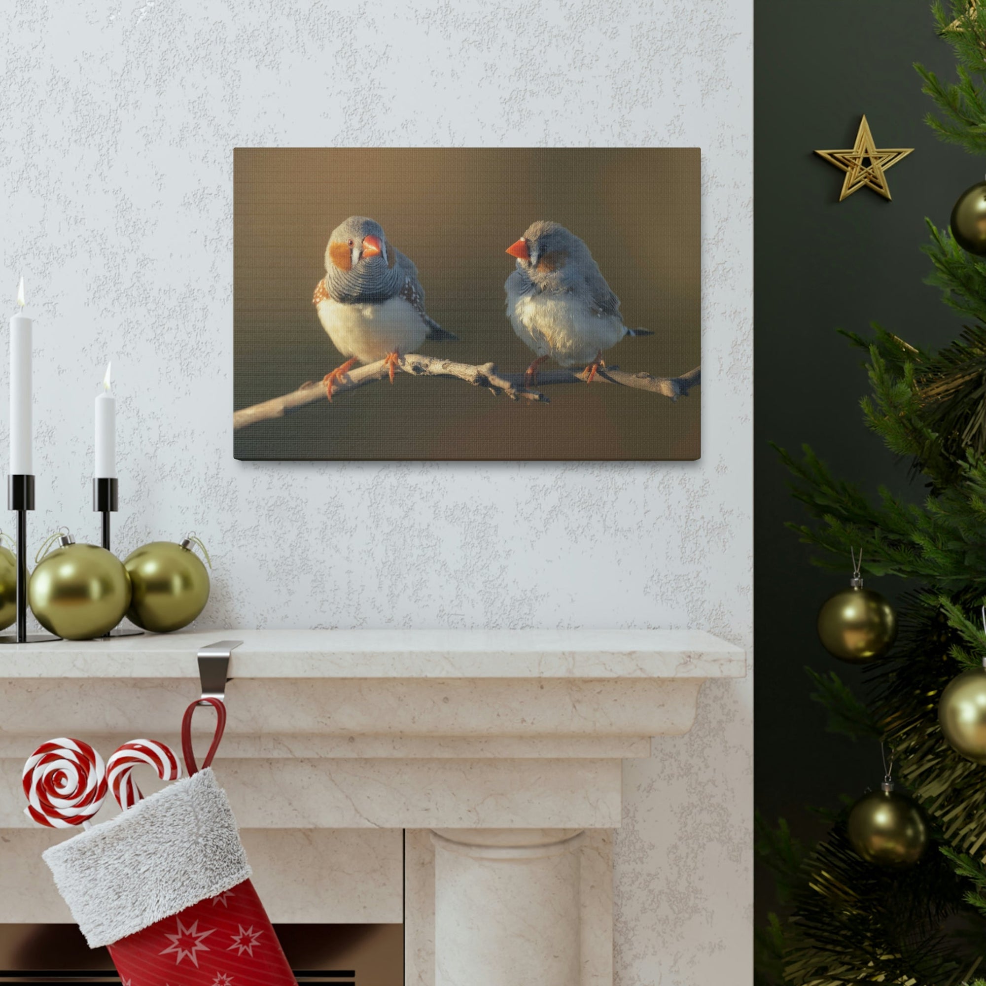 Scripture Walls Zebra Finch Couple Perched on a Branch on Warm Light Print Animal Wall Art Wildlife Canvas Prints Wall Art Ready to Hang Unframed-Express Your Love Gifts