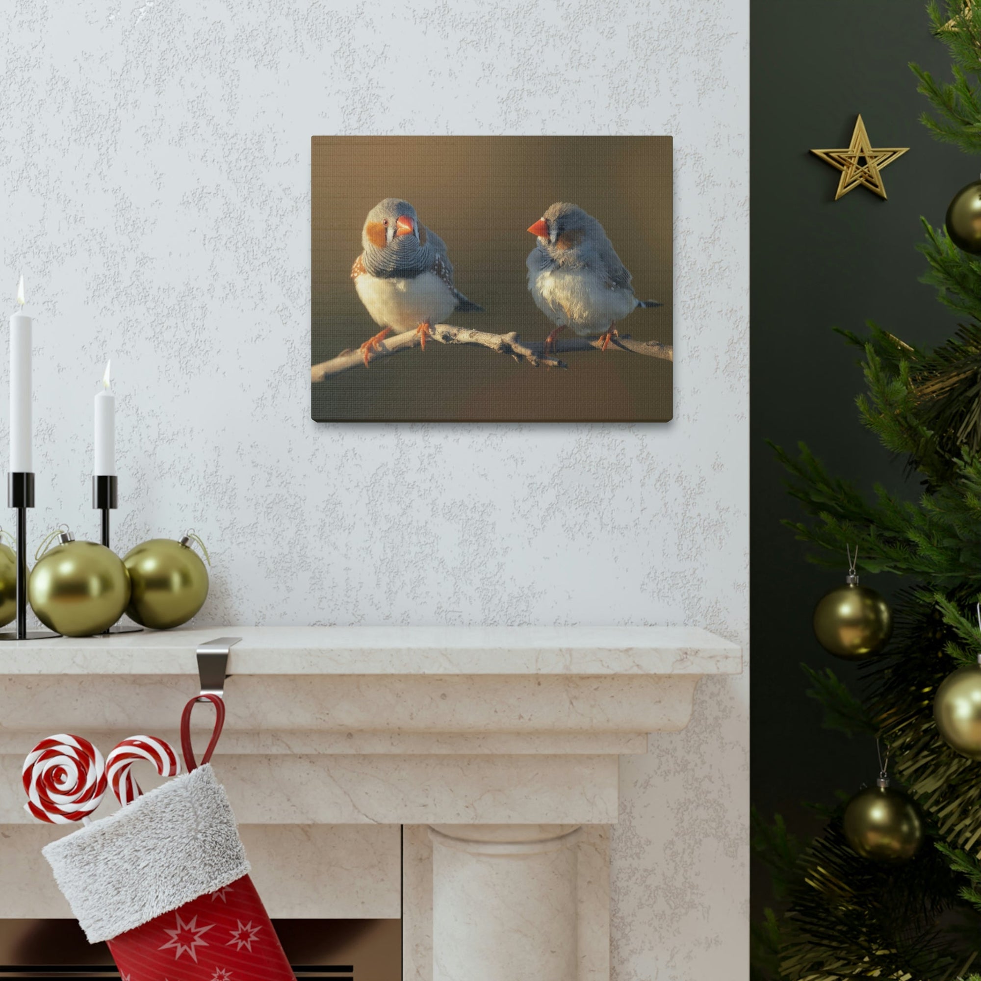 Scripture Walls Zebra Finch Couple Perched on a Branch on Warm Light Print Animal Wall Art Wildlife Canvas Prints Wall Art Ready to Hang Unframed-Express Your Love Gifts