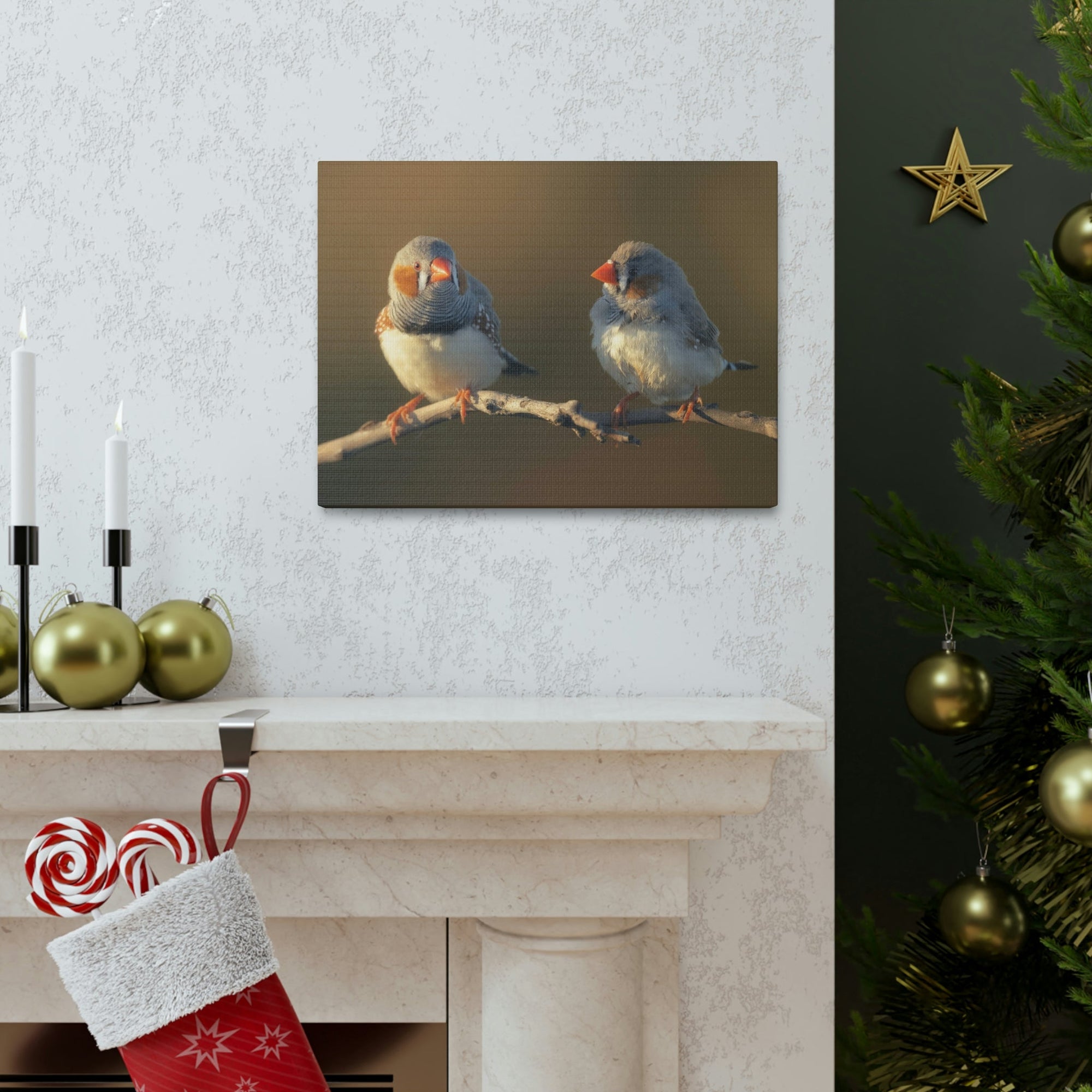 Scripture Walls Zebra Finch Couple Perched on a Branch on Warm Light Print Animal Wall Art Wildlife Canvas Prints Wall Art Ready to Hang Unframed-Express Your Love Gifts