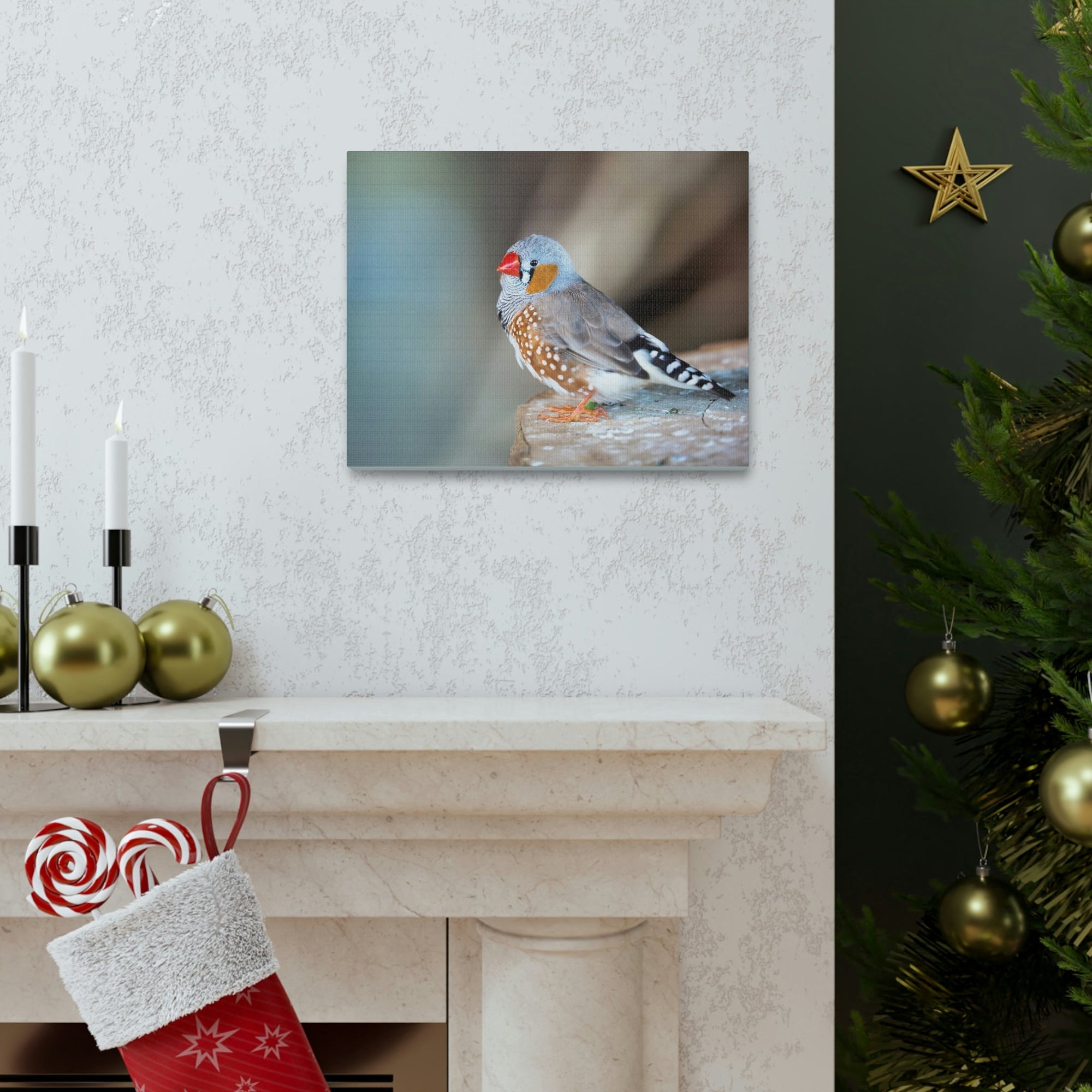 Scripture Walls Zebra Finch Hunting Zebra Finch on Hunt Print Animal Wall Art Wildlife Canvas Prints Wall Art Ready to Hang Unframed-Express Your Love Gifts