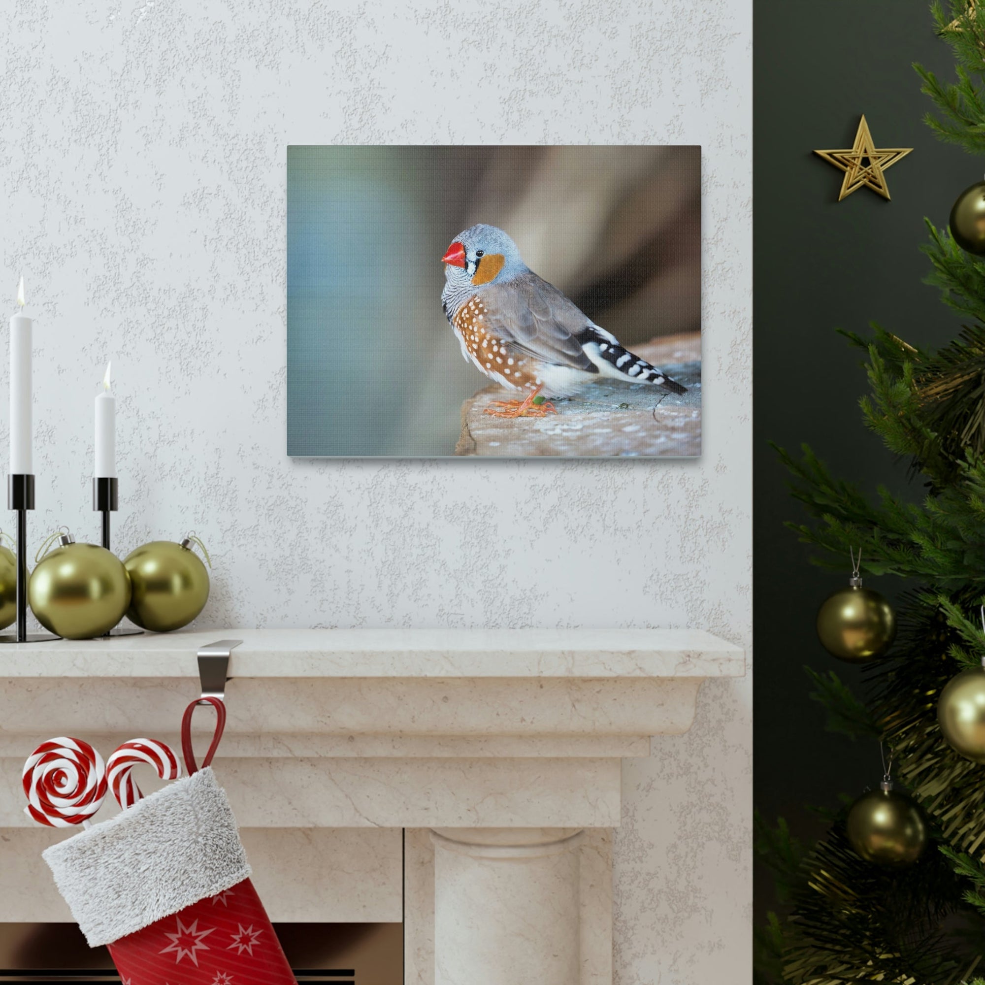 Scripture Walls Zebra Finch Hunting Zebra Finch on Hunt Print Animal Wall Art Wildlife Canvas Prints Wall Art Ready to Hang Unframed-Express Your Love Gifts