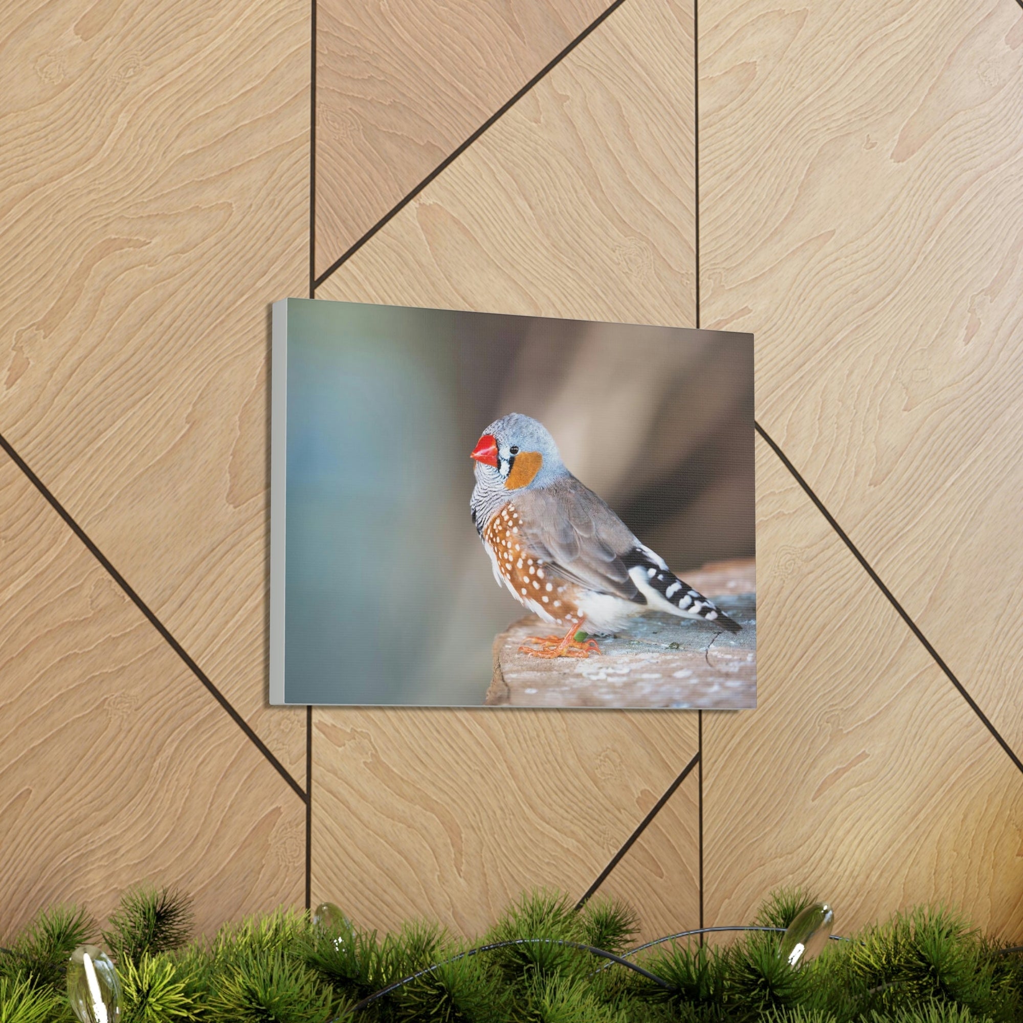 Scripture Walls Zebra Finch Hunting Zebra Finch on Hunt Print Animal Wall Art Wildlife Canvas Prints Wall Art Ready to Hang Unframed-Express Your Love Gifts