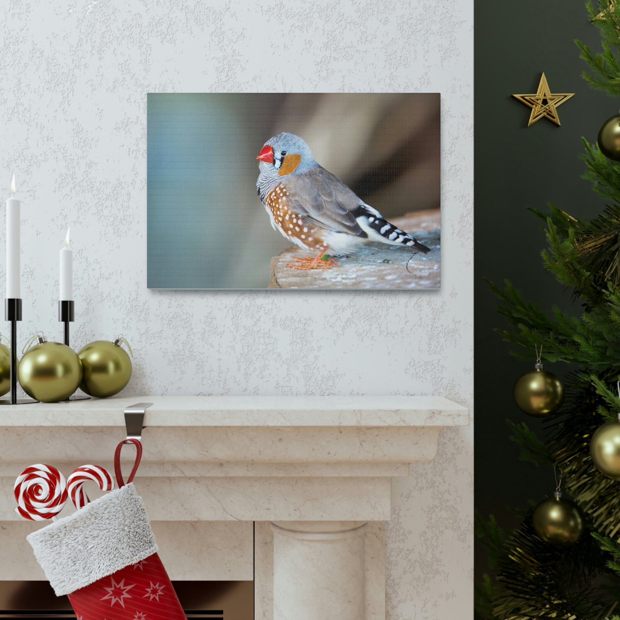 Scripture Walls Zebra Finch Hunting Zebra Finch on Hunt Print Animal Wall Art Wildlife Canvas Prints Wall Art Ready to Hang Unframed-Express Your Love Gifts