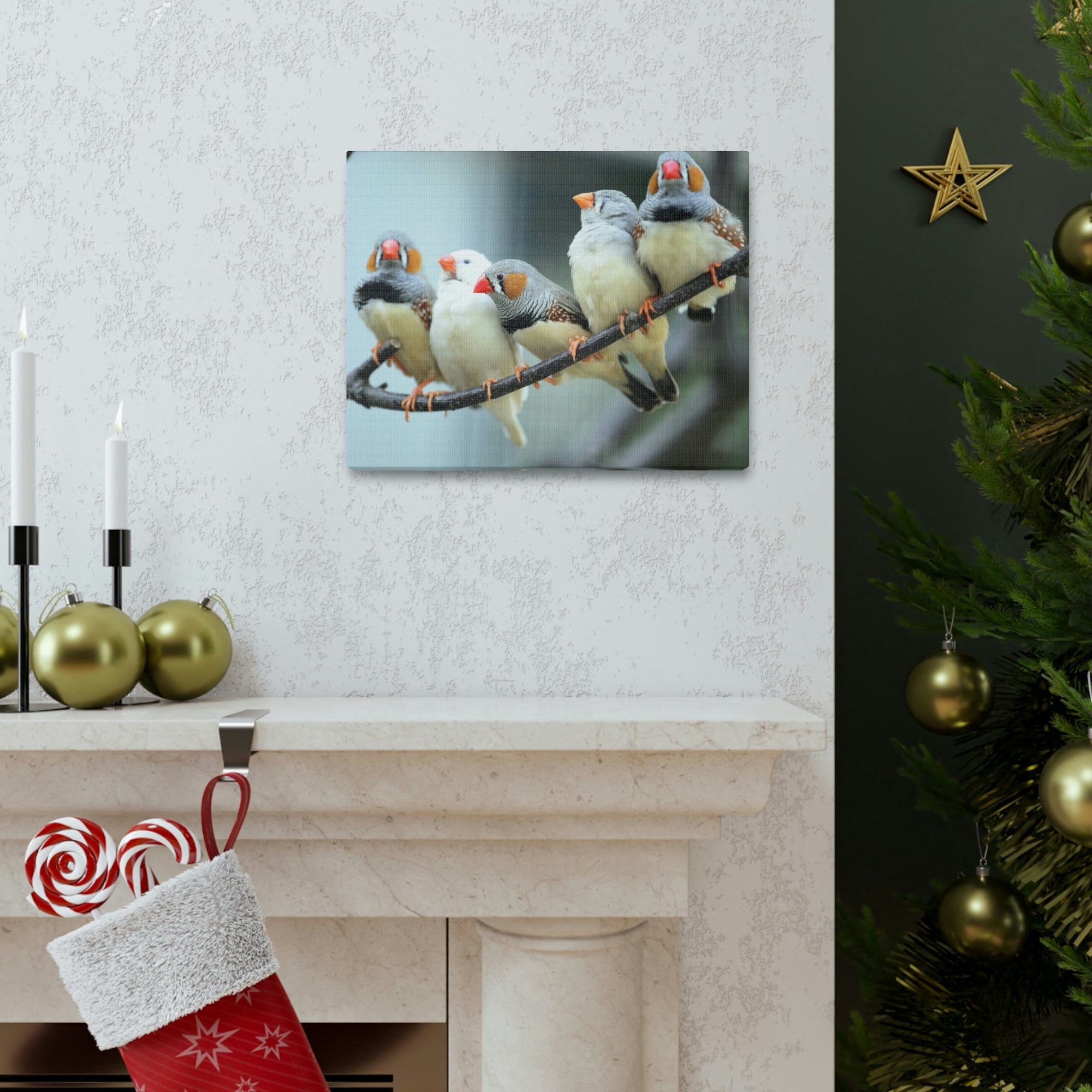 Scripture Walls Zebra Finches Sitting on a Branch Print Animal Wall Art Wildlife Canvas Prints Wall Art Ready to Hang Unframed-Express Your Love Gifts