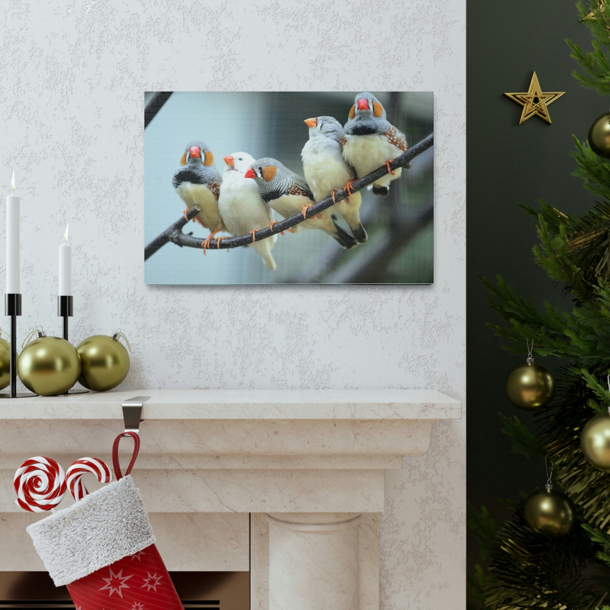 Scripture Walls Zebra Finches Sitting on a Branch Print Animal Wall Art Wildlife Canvas Prints Wall Art Ready to Hang Unframed-Express Your Love Gifts