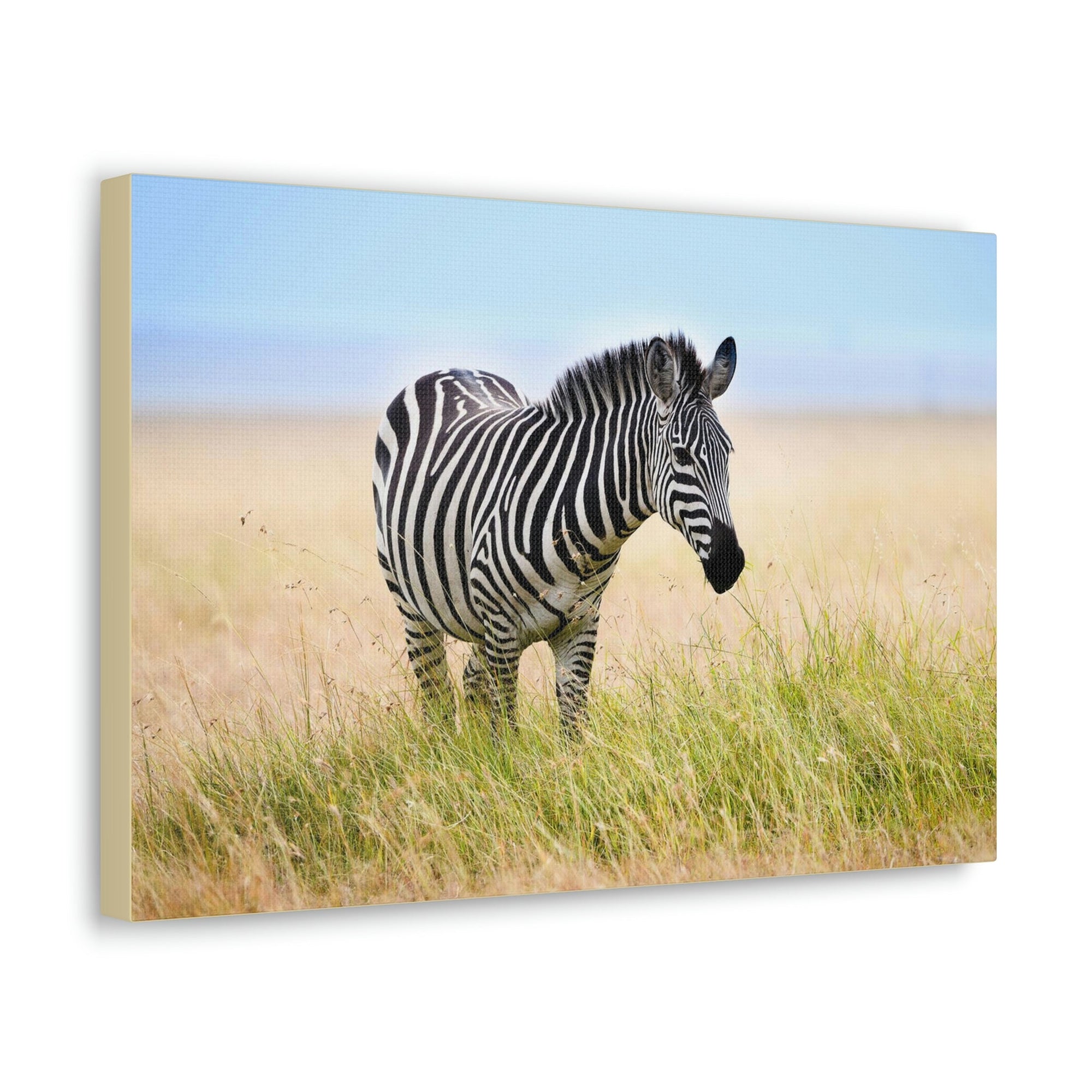 Scripture Walls Zebra Hunting Zebra on Hunt Print Animal Wall Art Wildlife Canvas Prints Wall Art Ready to Hang Unframed-Express Your Love Gifts