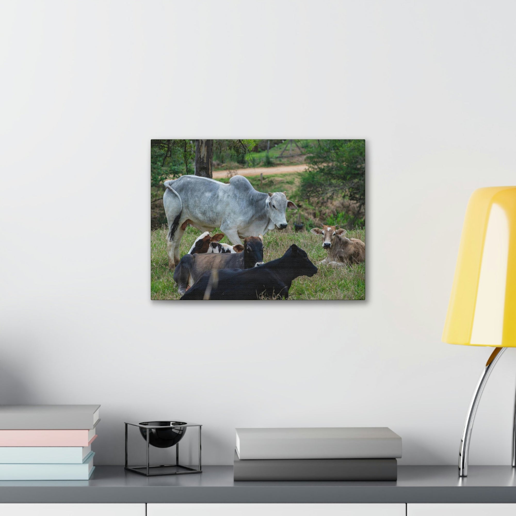 Scripture Walls Zebu Group Zebu Troop Print Animal Wall Art Wildlife Canvas Prints Wall Art Ready to Hang Unframed-Express Your Love Gifts