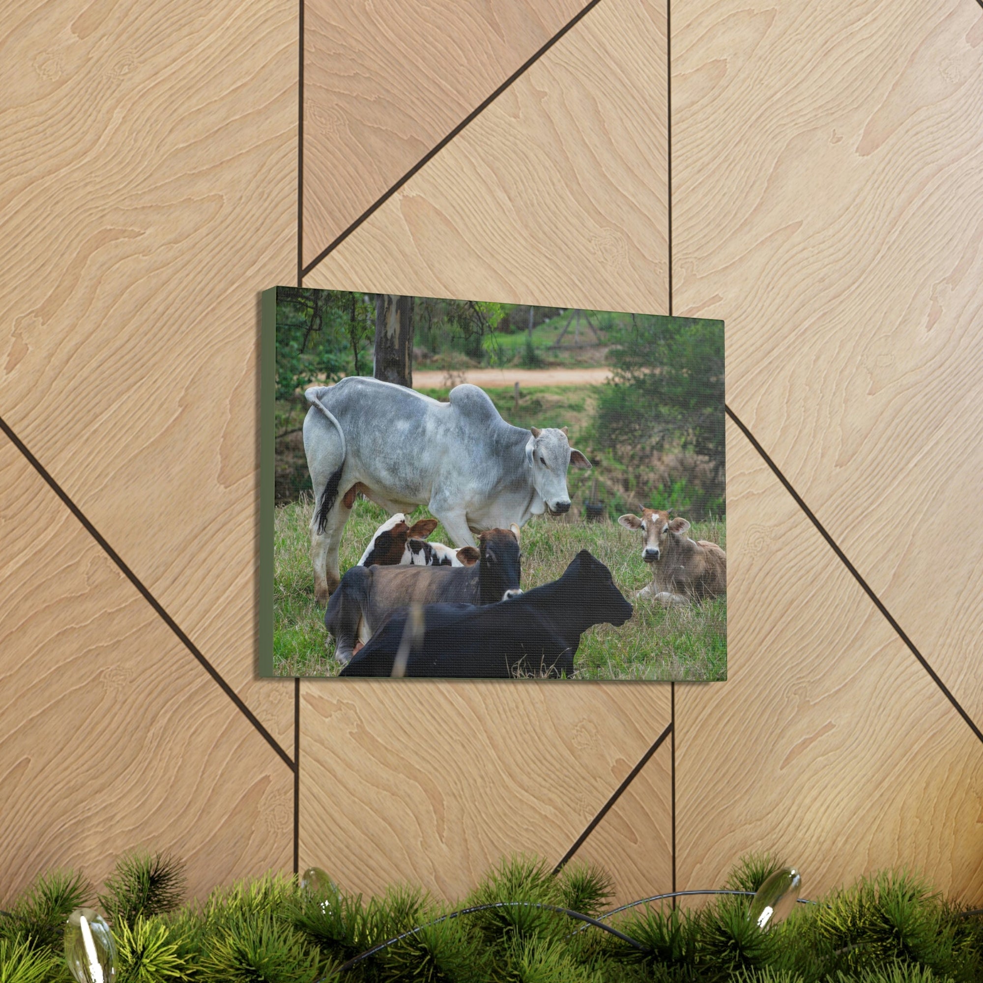 Scripture Walls Zebu Group Zebu Troop Print Animal Wall Art Wildlife Canvas Prints Wall Art Ready to Hang Unframed-Express Your Love Gifts