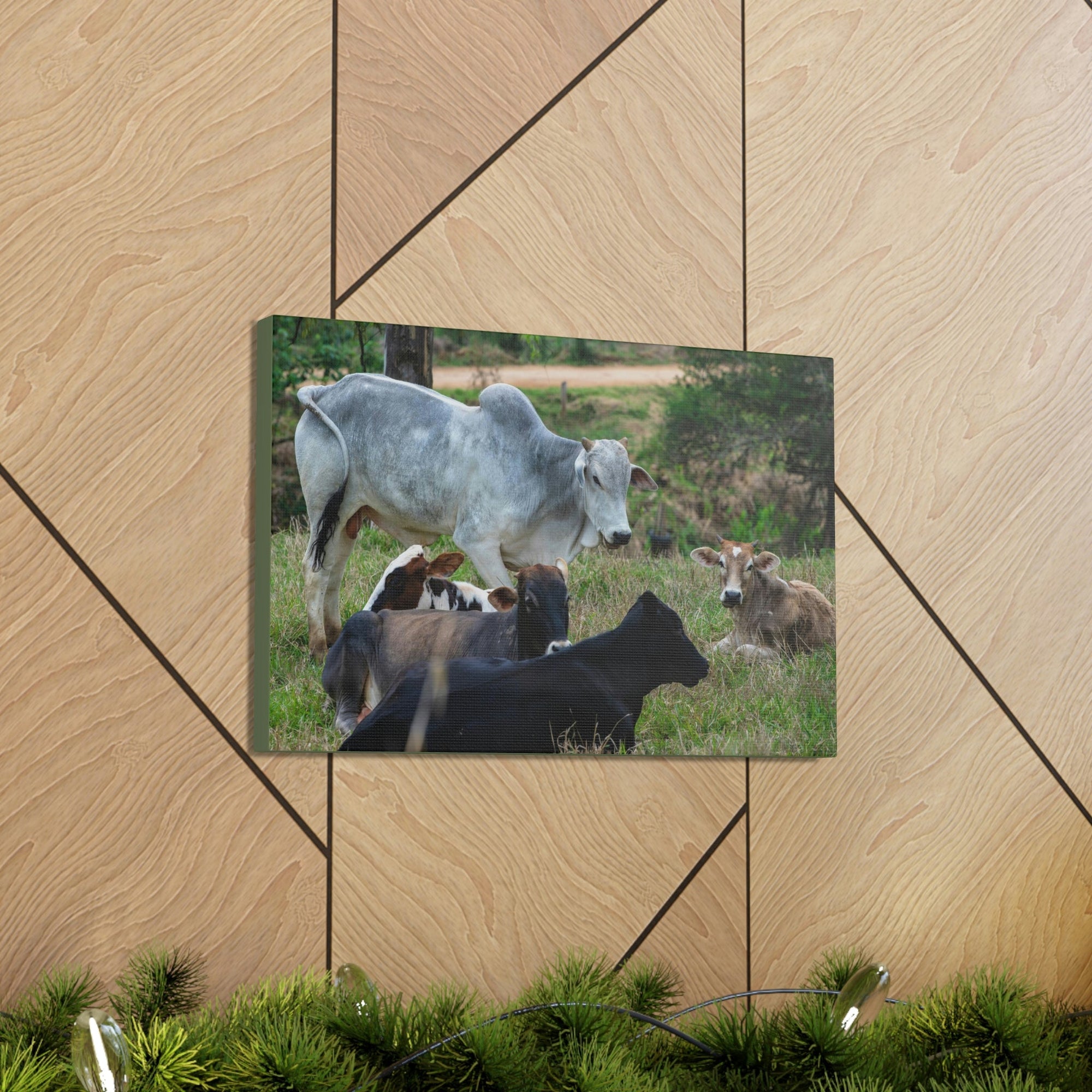 Scripture Walls Zebu Group Zebu Troop Print Animal Wall Art Wildlife Canvas Prints Wall Art Ready to Hang Unframed-Express Your Love Gifts