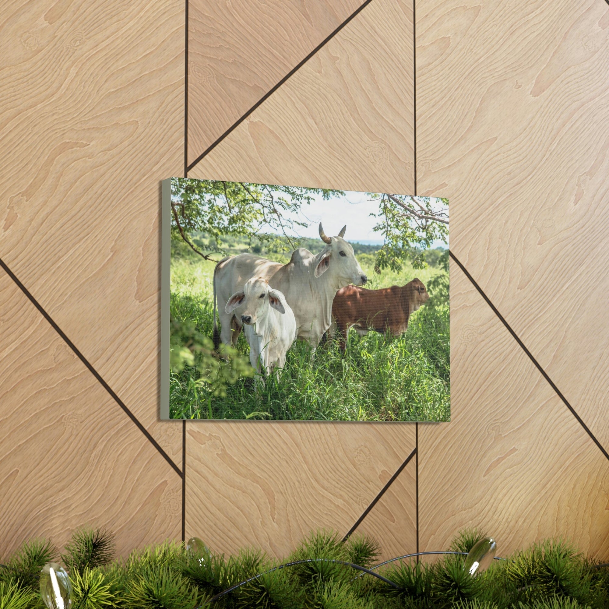 Scripture Walls Zebu Hunting Zebu on Hunt Print Animal Wall Art Wildlife Canvas Prints Wall Art Ready to Hang Unframed-Express Your Love Gifts