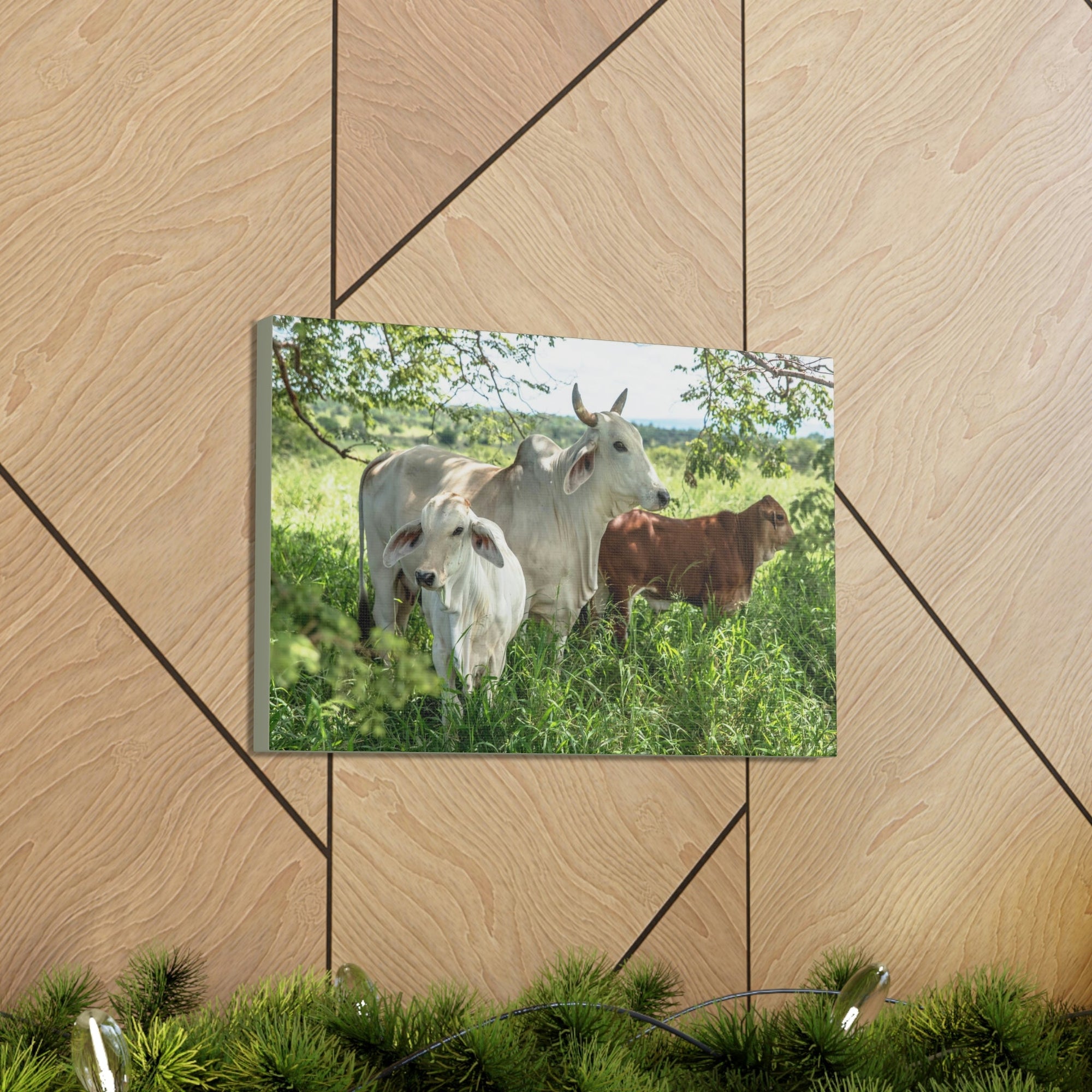 Scripture Walls Zebu Hunting Zebu on Hunt Print Animal Wall Art Wildlife Canvas Prints Wall Art Ready to Hang Unframed-Express Your Love Gifts