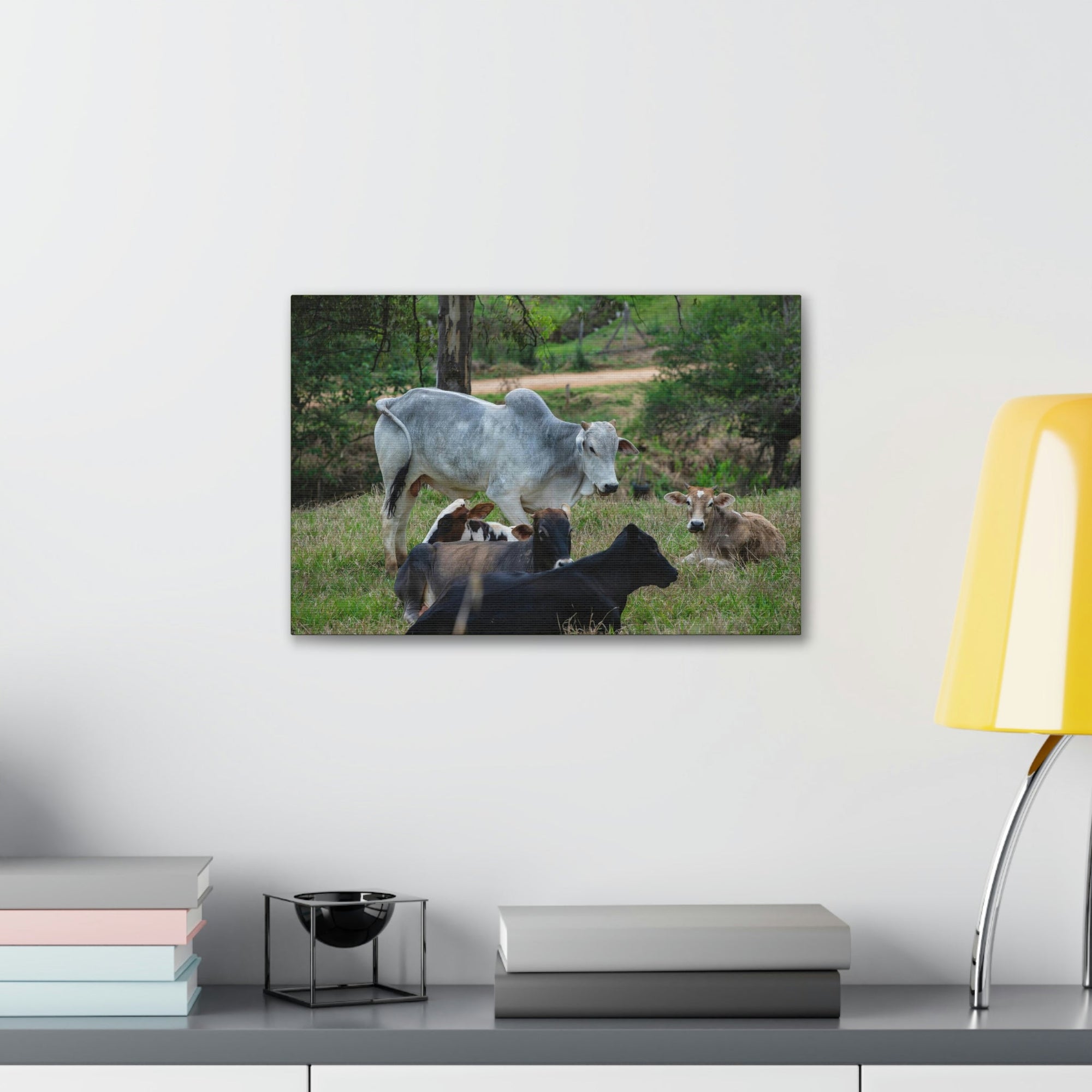 Scripture Walls Zebus Group Zebu Troop Print Animal Wall Art Wildlife Canvas Prints Wall Art Ready to Hang Unframed-Express Your Love Gifts