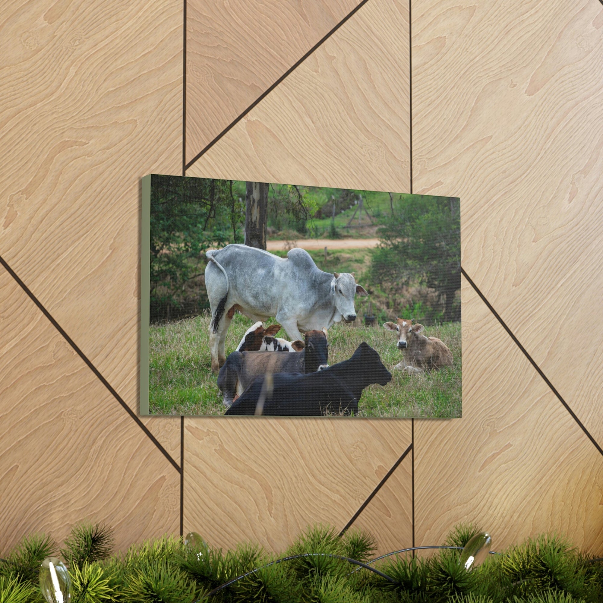 Scripture Walls Zebus Group Zebu Troop Print Animal Wall Art Wildlife Canvas Prints Wall Art Ready to Hang Unframed-Express Your Love Gifts