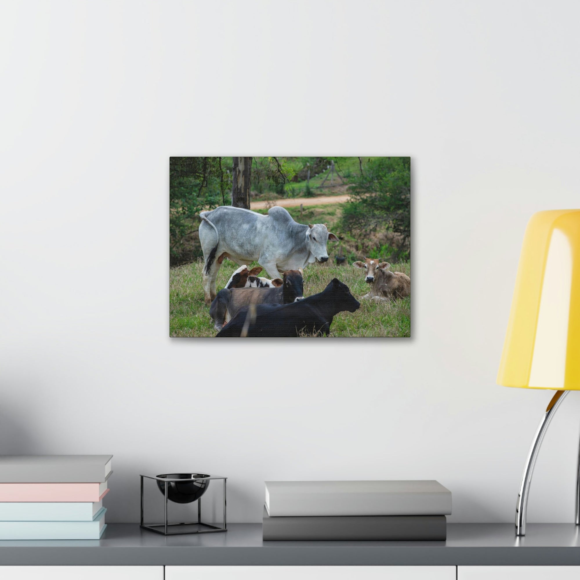 Scripture Walls Zebus Group Zebu Troop Print Animal Wall Art Wildlife Canvas Prints Wall Art Ready to Hang Unframed-Express Your Love Gifts