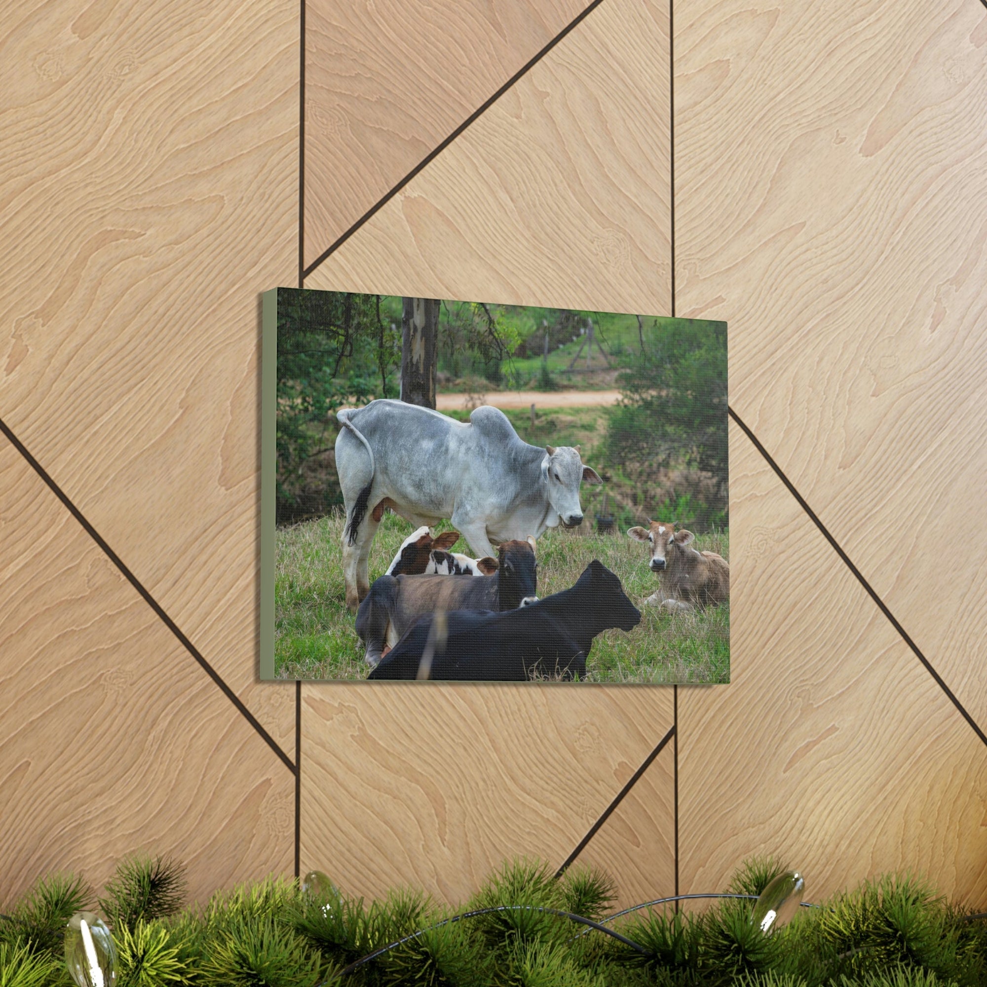 Scripture Walls Zebus Group Zebu Troop Print Animal Wall Art Wildlife Canvas Prints Wall Art Ready to Hang Unframed-Express Your Love Gifts