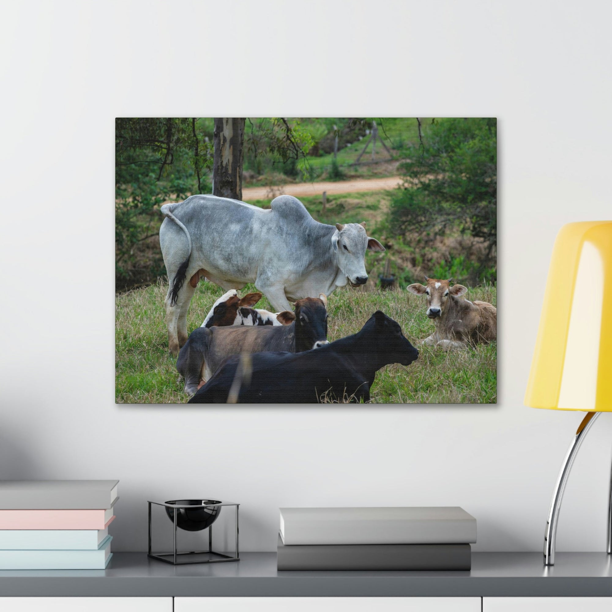 Scripture Walls Zebus Group Zebu Troop Print Animal Wall Art Wildlife Canvas Prints Wall Art Ready to Hang Unframed-Express Your Love Gifts