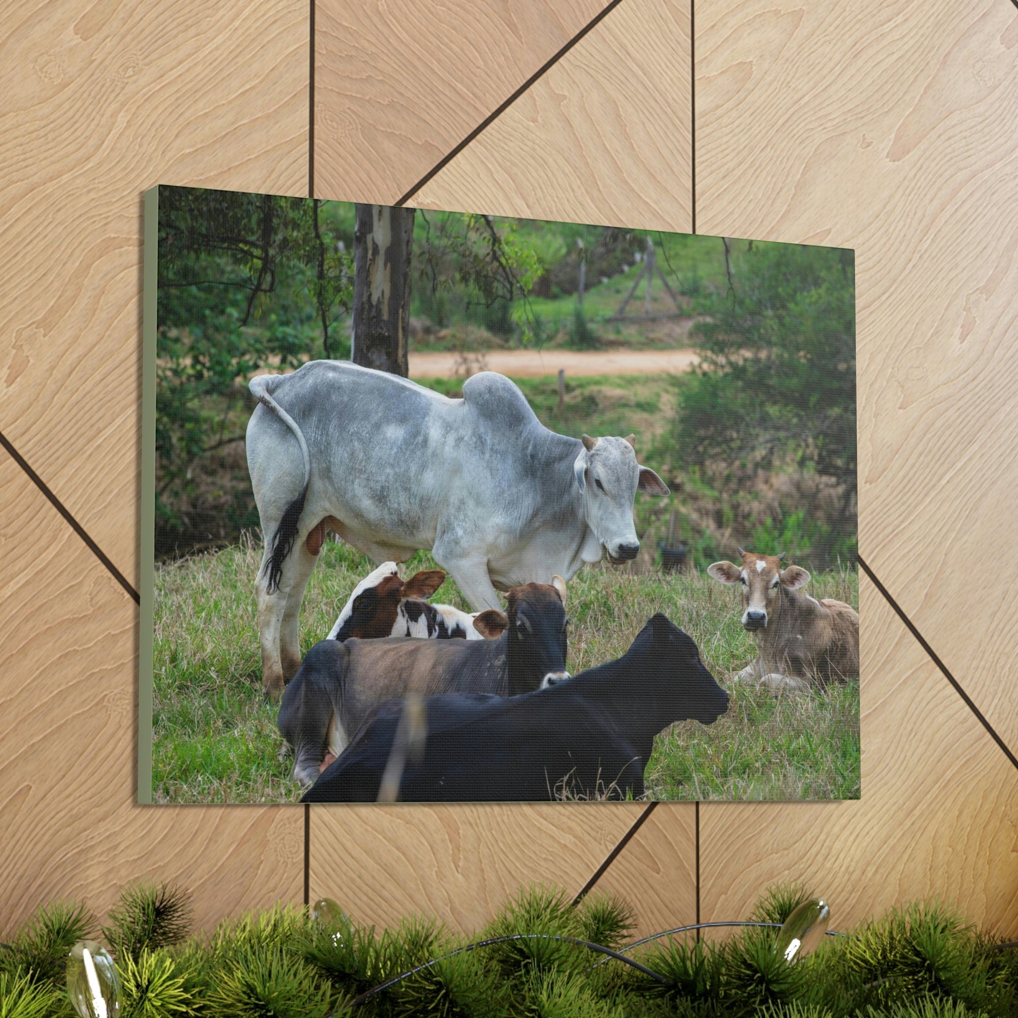 Scripture Walls Zebus Group Zebu Troop Print Animal Wall Art Wildlife Canvas Prints Wall Art Ready to Hang Unframed-Express Your Love Gifts